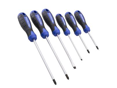 SCREWDRIVER SET 6
